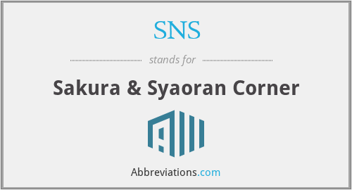 what-does-sns-stand-for