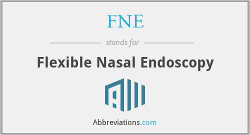 FNE - Flexible Nasal Endoscopy