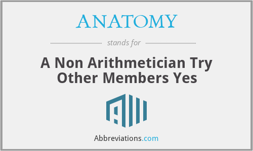 WHAT DOES ANATOMY STAND FOR visual data 2