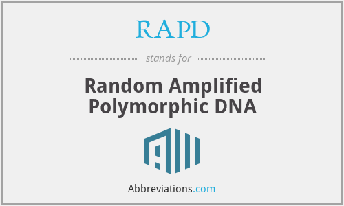 What does RAPD stand for?