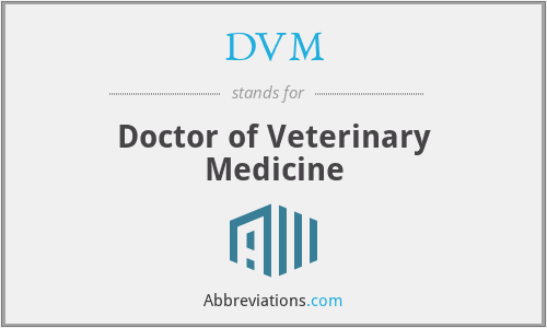 What Does DVM Stand For what-does-dvm-stand-for