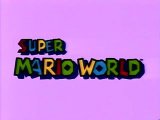 The New Super Mario World