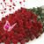 Fayyaz Ahmad