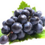 nonia_b nonia_b