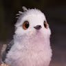 tocaowly tocaowly
