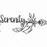 serenitym.34647 serenitym.34647