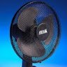 fan.64402