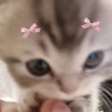 angelie_m