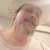 seanh.26135