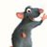 joann_p joann_p