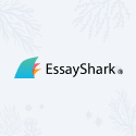Custom Term Paper Writing Service