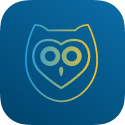 PapersOwl - write your essay